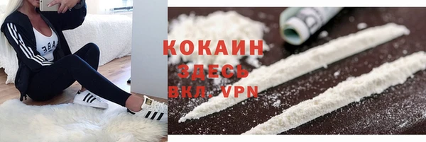 твердый Протвино