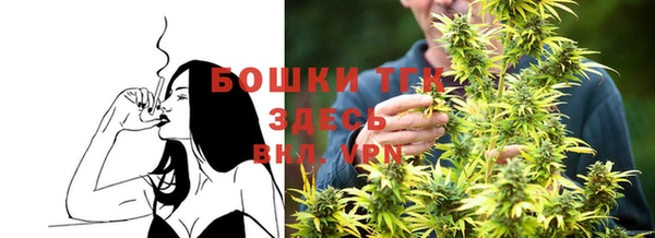 твердый Протвино