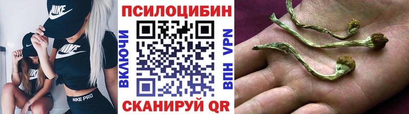 Купить  Челябинск  Галлюциногенные грибы Psilocybine cubensis 